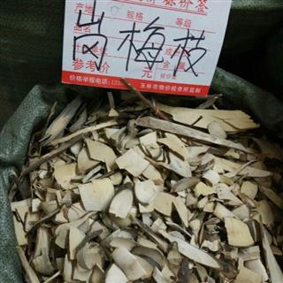           小岗梅 阳枝切片 产地.